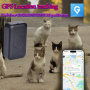 Tracker GPS PET resistente - 2