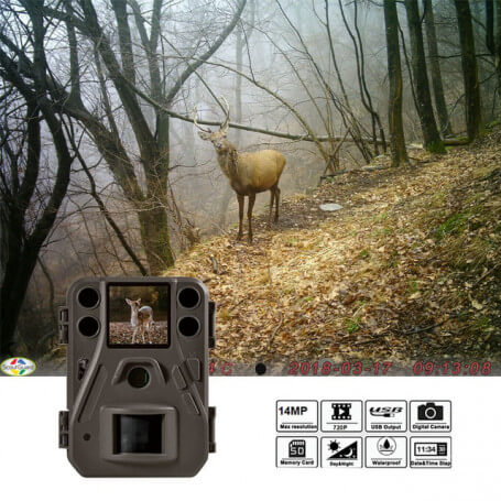 Petite caméra animalière HD 14 millions de pixels
